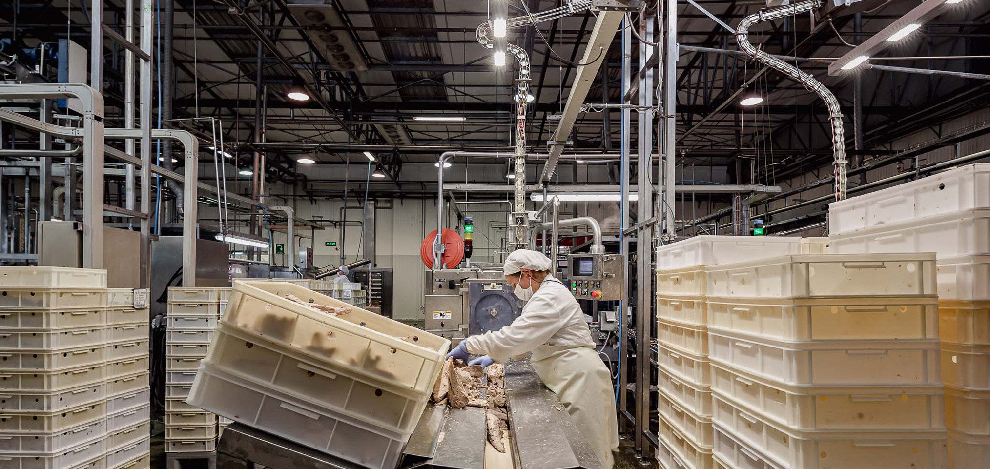 Industria alimentare